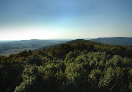 Ausblick auf die Steinegge bei Dissen in der Dämmerung