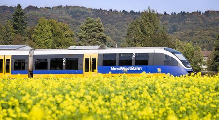 Zug der NordWestBahn vor gelb blühendem Rapsfeld