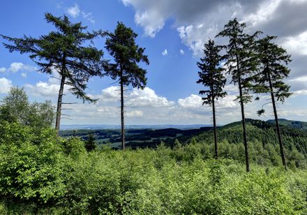 Landschaft am Tönsberg in Oerlinghausen