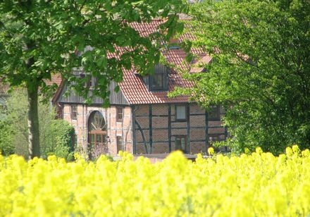Hof hinter Rapsfeld