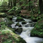Das romantischen Silberbachtal bei Horn-Bad Meinberg an Hermanns- und Eggeweg, Foto: Falko Sieker
