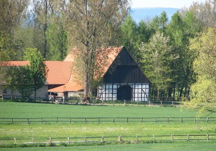 Blick auf Hof in Steinheim-Hintereichholz