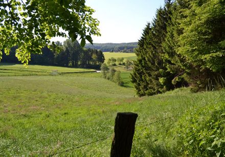 Das Puschkental bei Dissen am Teutoburger Wald