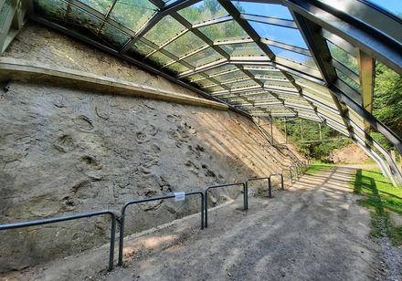 Saurierfährten Bad Essen/Barkhausen