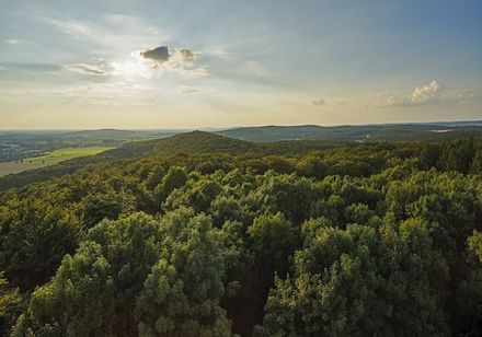 Blick auf den Teutoburger Wald