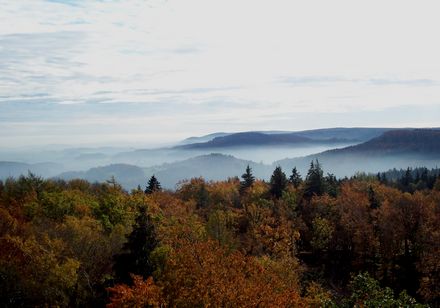 Blick in den herbstlichen Wald am Hermannsdenkmal. Im Hinztergrund Nebel und Wolken. Foto: Teutoburger Wald Tourismus, Ina Bohlken
