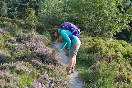 Wanderin in der Heide an der Lippischen Velmerstot