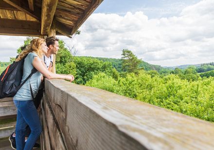 Blick vom Wisentturm