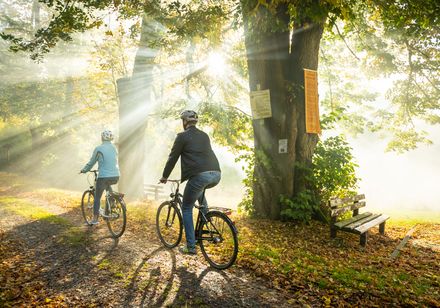 Radfahren in Lichtenau