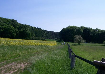 Wandern rund um Lienen am Teutoburger Wald
