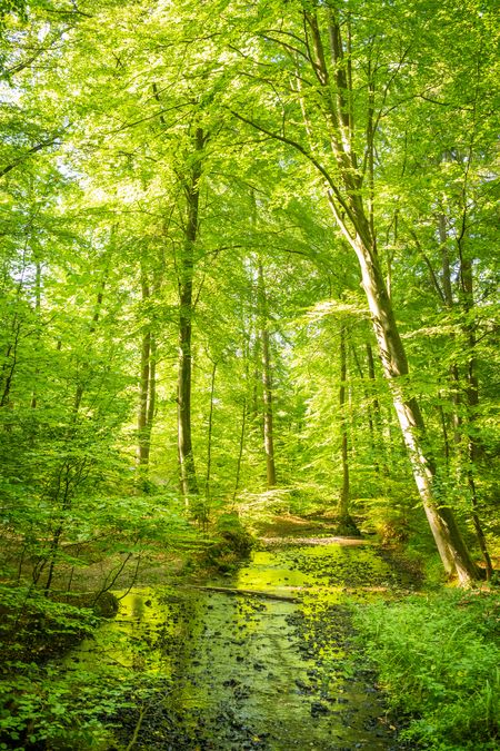 Das Silberbachtal