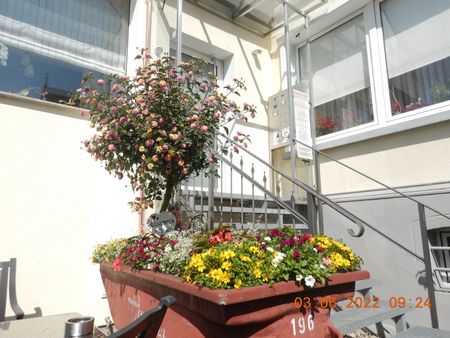 Eingangsbereich Hotel Havergoh mit Blumendeko