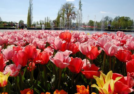 Gartenschaupark Rietberg, Eingang Nord. Urlaubsregion Teutoburger Wald. Foto: Gartenschaupark Rietberg GmbH