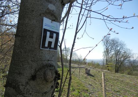 Wegemarkierung Hermannsweg oberhalb von Lengerich