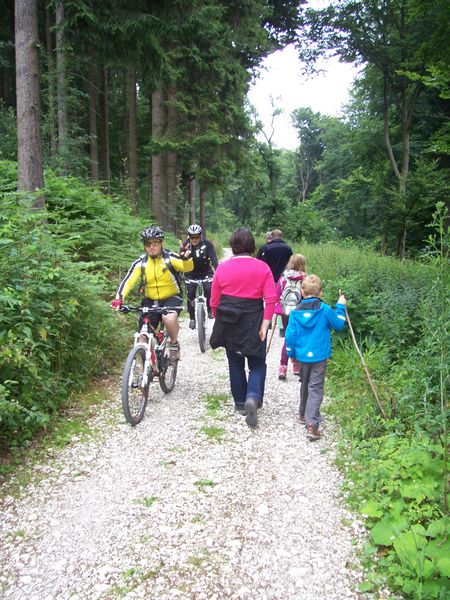 Mountainbiker passiert Wandergruppe mit Kindern auf dem Hermannsweg
