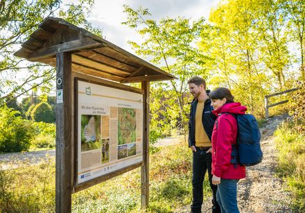 Wanderer vor Hinweistafel auf dem Schmetterlingspfad in Willebadessen