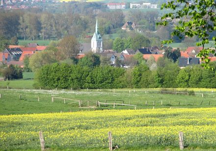 Blick auf Steinheim-Bergheim