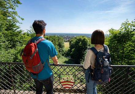 Blick von der Kaffeemühle oberhalb von Halle Westfalen
