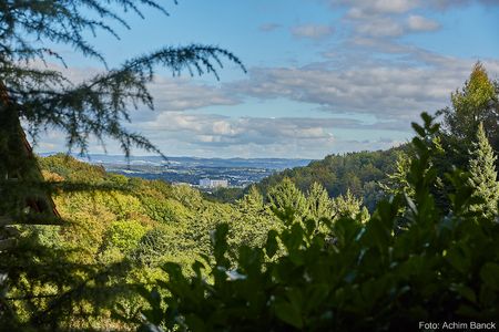 Schöner Ausblick vom Waldhotel Brand's Busch