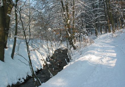 Schopketal im Winter in Oerlinghausen, Foto: Stadt Oerlinghausen / P. Müller