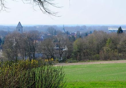 Fernblick vom Hermannsweg über Halle Westfalen 
