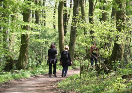 Wandern im Teutoburger Wald bei Lienen