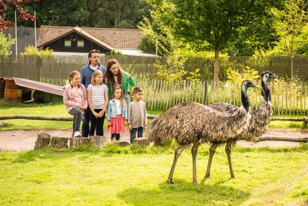 Vogelpark Heiligenkirchen bei Detmold