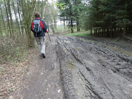 Wegeschaden nach Rückearbeiten