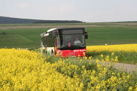 RegioBus der RVM am gelb blühenden Rapsfeld