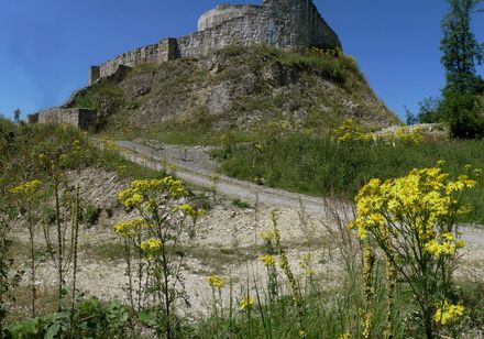Die Falkenburg, imposantes Bauwerk, das immer wieder neue Geheimnisse preisgibt.