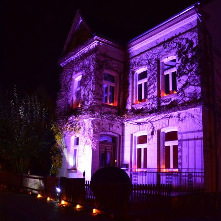 Steinheim Illumination Reineccius Markt