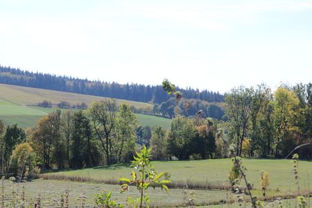 Blick auf die Durbeke bei Altenbeken
