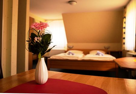 Nachhaltige Buchenmöbel und helle Zimmer mit Blumenvase im Vordergrund