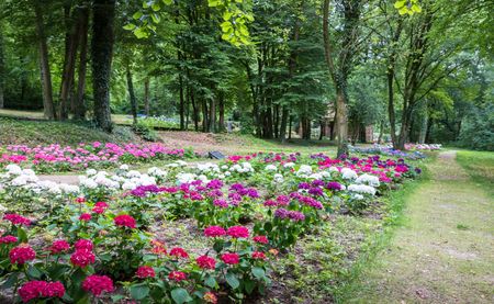 Buntes Blumenbeet im Hortensia Garden Lengerich