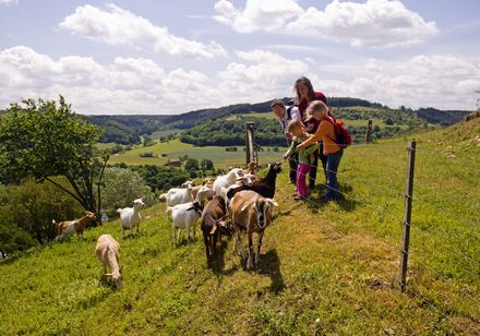 Familie bei Ziegen - Kalkmagerrasen Dalhausen