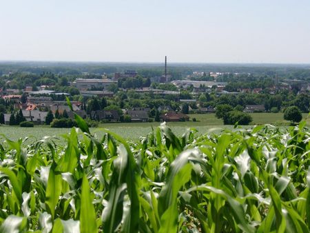 Blick auf Dissen am Teutoburger Wald