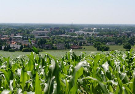 Blick auf Dissen am Teutoburger Wald