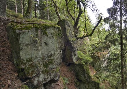 Teutoniaklippen bei Lichtenau