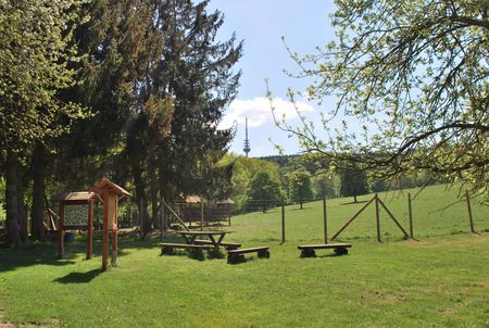 Willebadessen Wildgehege - Infotafel mit Ausblick