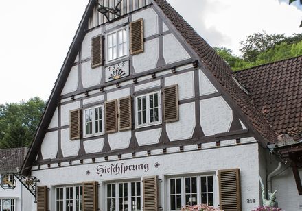 Giebelseite vom Hotel Hirschsprung