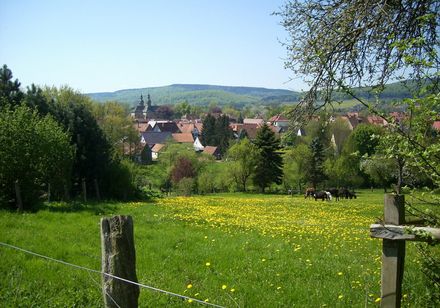 Blick auf Willebadessen