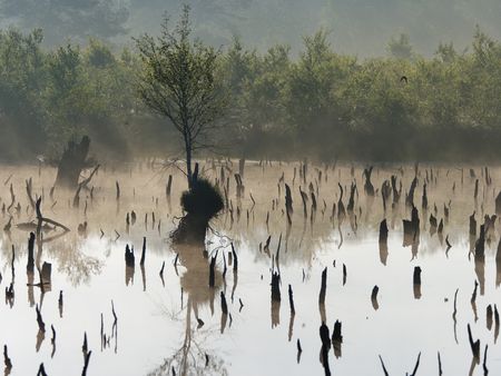 Moorlandschaft im Naturpark TERRA.vita