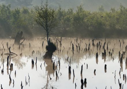 Moorlandschaft im Geo- und Naturpark TERRA.Vita