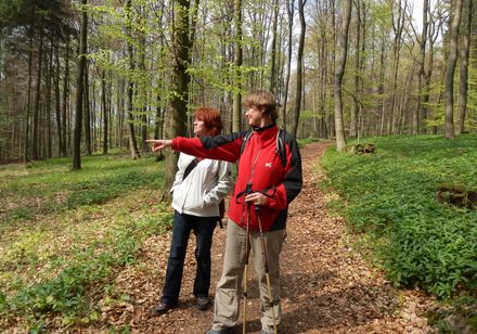 Wanderung auf dem Freeden Bad Iburg