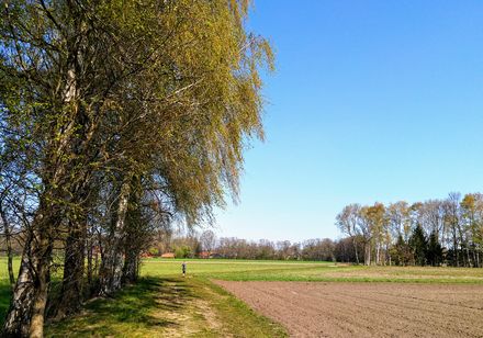 Feuchtwiesen in Steinhagen