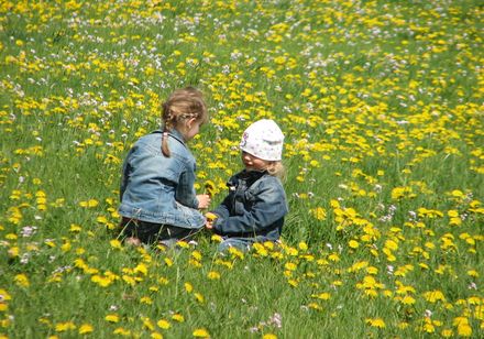 Kinder auf einer Wiese mit Löwenzahn