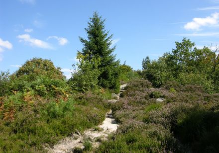 Lippischer Velmerstot bei Sonnenschein