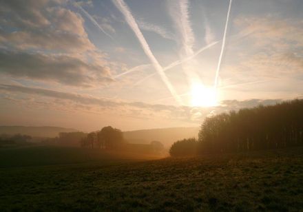 "Hankenberger Sauerland" in Hilter am Teutoburger Wald