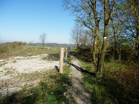 Die Hochfläche an den Hermannshöhen oberhalb vom Lengericher Canyon. Karge Böden und ein toller Ausblick bieten hier ein besonderes Naturerlebnis. 