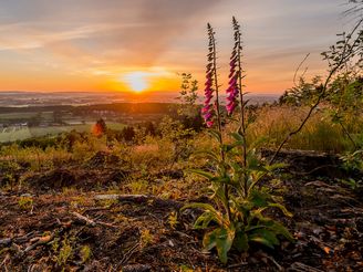 Themenweg im Teutoburger Wald: Weg für Genießer - Gesamtstrecke